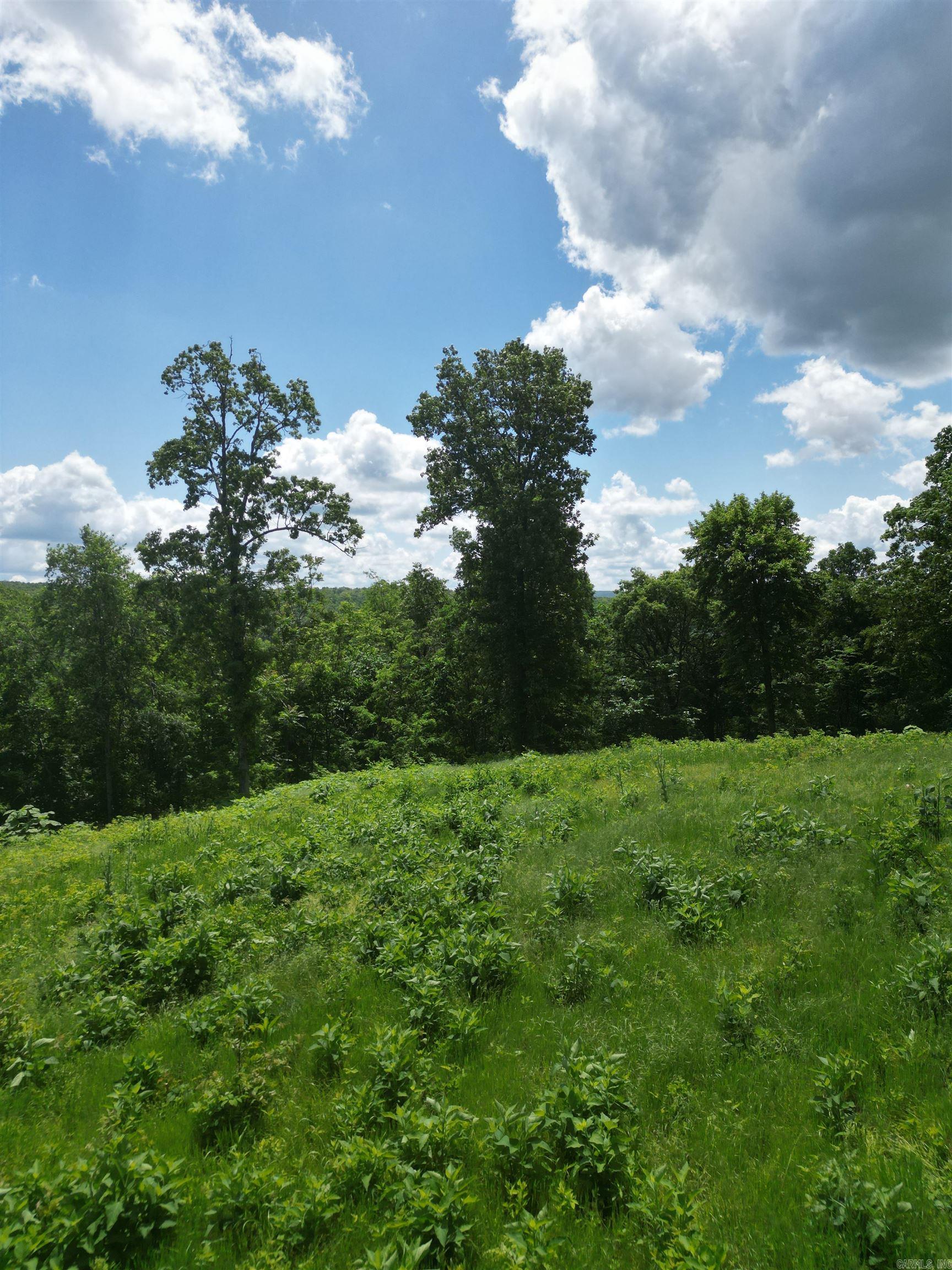 Not in Subdivision - Land