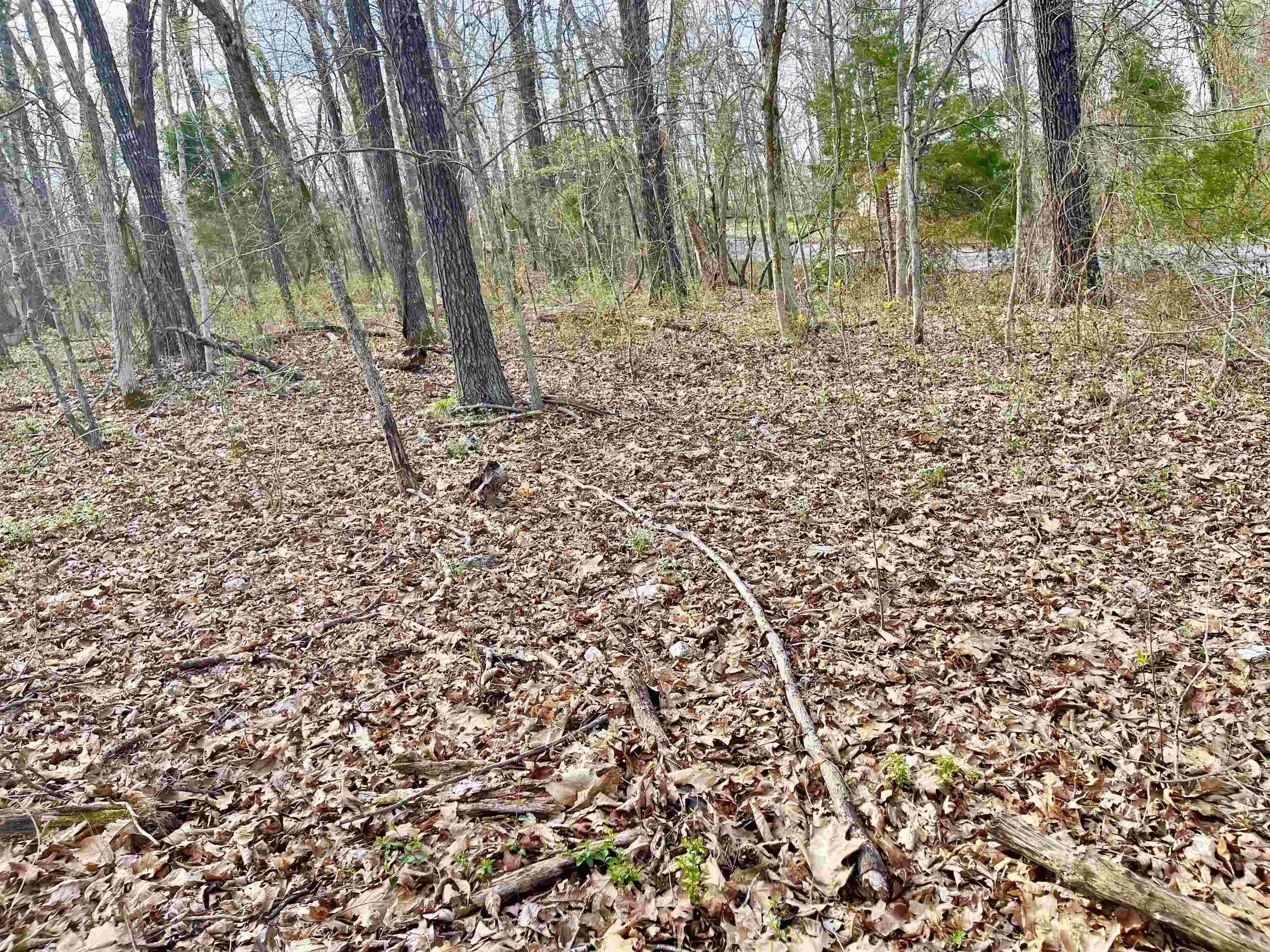 Fairway - Land