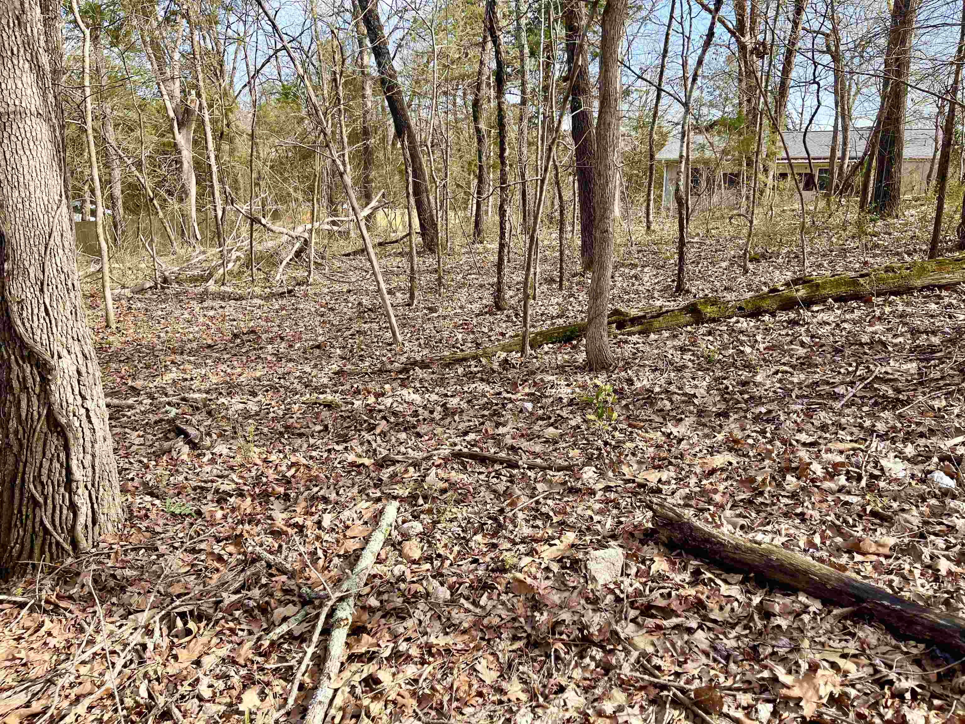 Fairway - Land