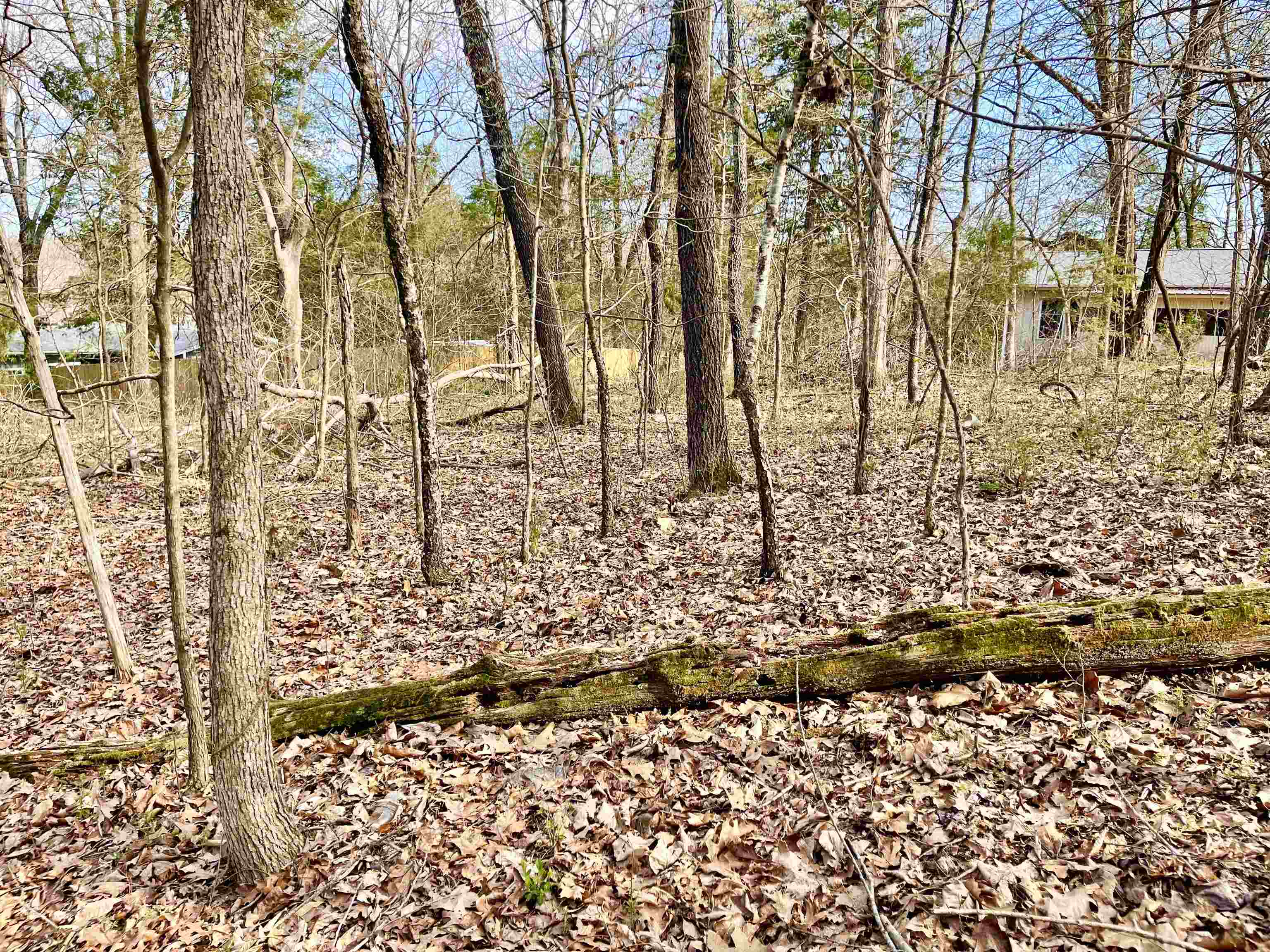 Fairway - Land