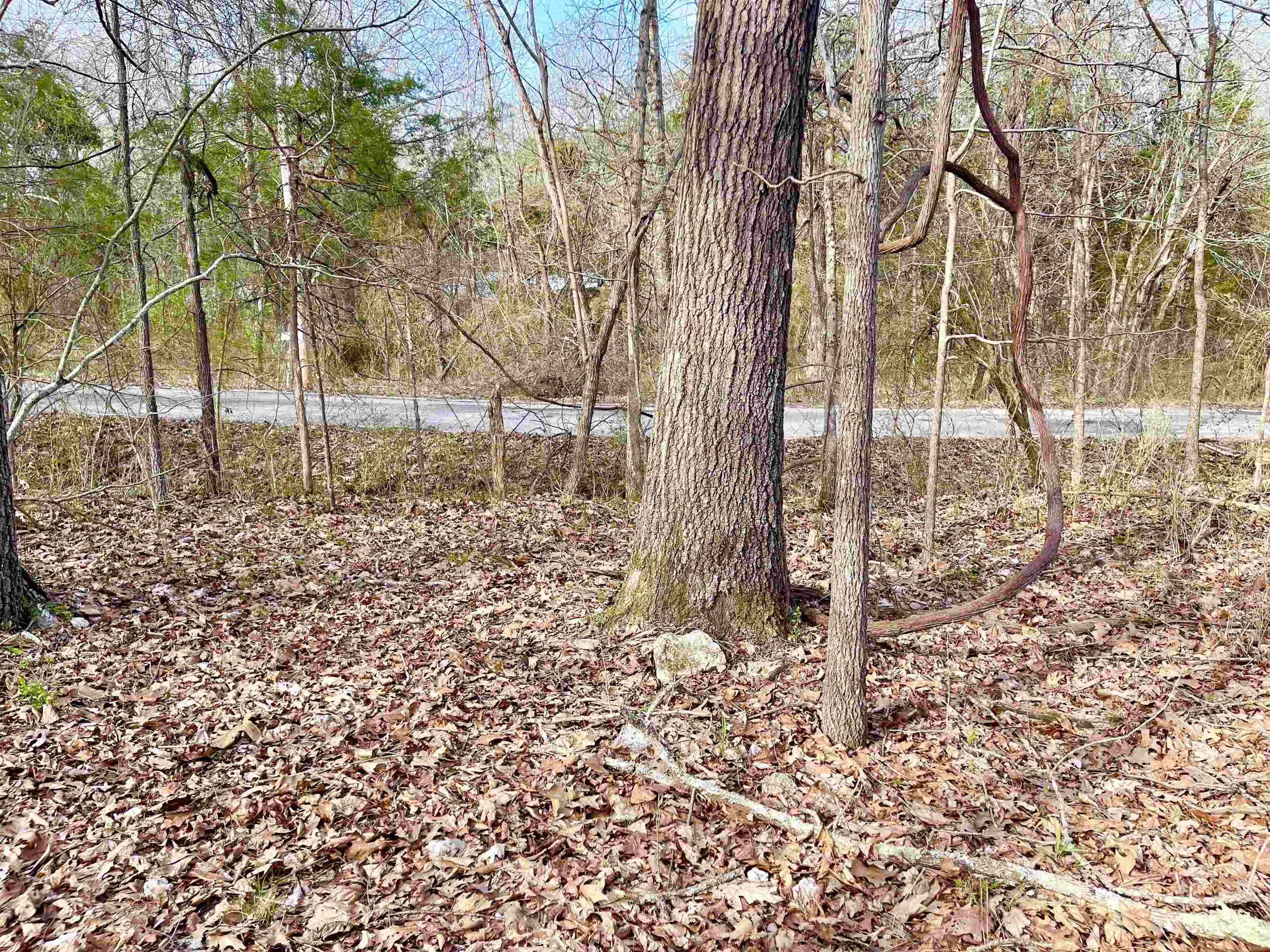 Fairway - Land
