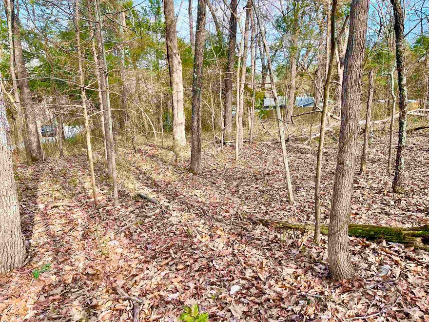 MOTIVATED SELLER! MAKE AN OFFER! Located just up the hill from the famous Southfork/Spring River in Cherokee Village AR. This .27 acre nice fairly level wooded lot is on Nokomis Drive which is a paved city street close to the Cherokee North Golf Course. Great place to build your new home. With property ownership comes access to all the amenities of Cherokee Village. 7 Lakes, 2 Golf courses, 2 recreational centers.