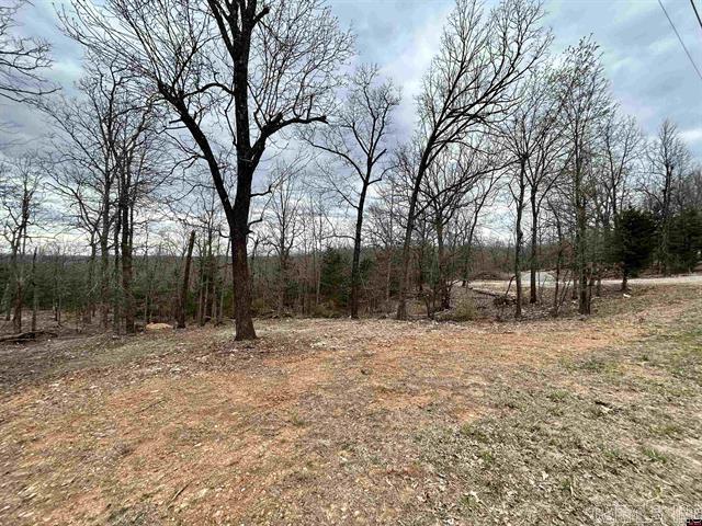 Situated off the shores of Bull Shoals Lake, these unrestricted lots are partially cleared and feature a blend of hardwoods and cedar, making it a perfect build site for anew home or parking your camper to enjoy lake life. The property comes with an electric meter loop that provides 200 amp service GFI plugs, city water already available, and fiber internet available. Land survey and perc tests are also available and filed with the county. You can easily launch your boat or go for a swim at the communities public access points, located just a short 5 minute drive away. Attend events at the neighborhood community center, which is also a short drive away. Don't miss out on this opportunity to embrace the peaceful lifestyle that lake living offers!