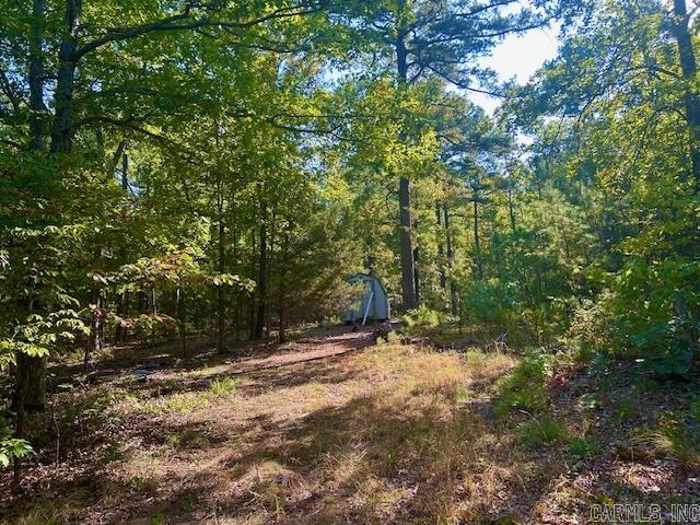 Here is your new HUNTING PROPERTY! This 24 acre unrestricted parcel is a hunter's paradise, offering abundant wildlife and serene, natural surroundings. Located in a secluded yet accessible area, this property provides the perfect balance of privacy and convenience. Located between Shirley and Clinton Arkansas. A well is already in place and power is very close right in front of the property. Build a weekend getaway, create a private hunting lodge or simply enjoy the untouched wilderness. So many possibilities. Call today to see this piece of the Ozarks before it is gone.