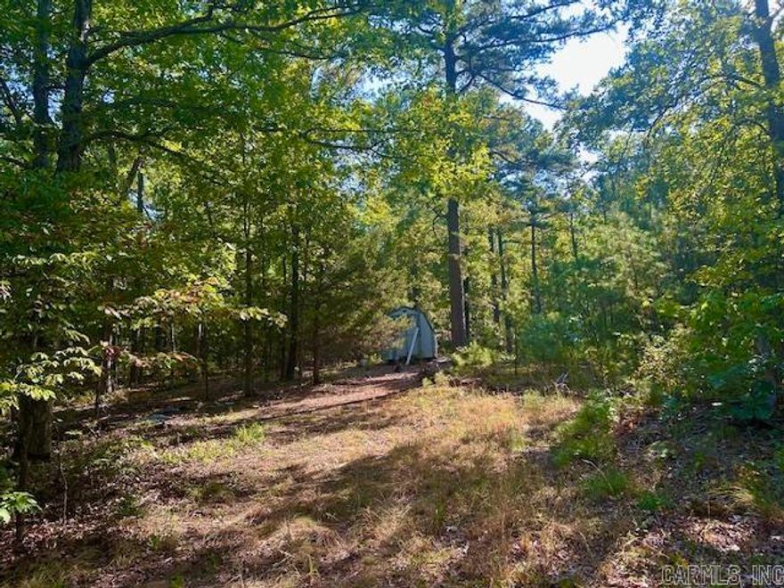 Here is your new HUNTING PROPERTY! This 24 acre unrestricted parcel is a hunter's paradise, offering abundant wildlife and serene, natural surroundings. Located in a secluded yet accessible area, this property provides the perfect balance of privacy and convenience. Located between Shirley and Clinton Arkansas. A well is already in place and power is very close right in front of the property. Build a weekend getaway, create a private hunting lodge or simply enjoy the untouched wilderness. So many possibilities. Call today to see this piece of the Ozarks before it is gone.
