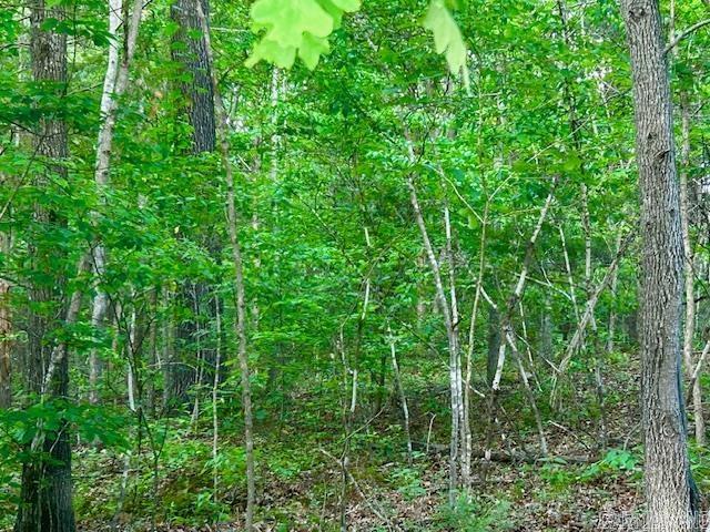 Lancaster-Tubbs Creek Homes - Land
