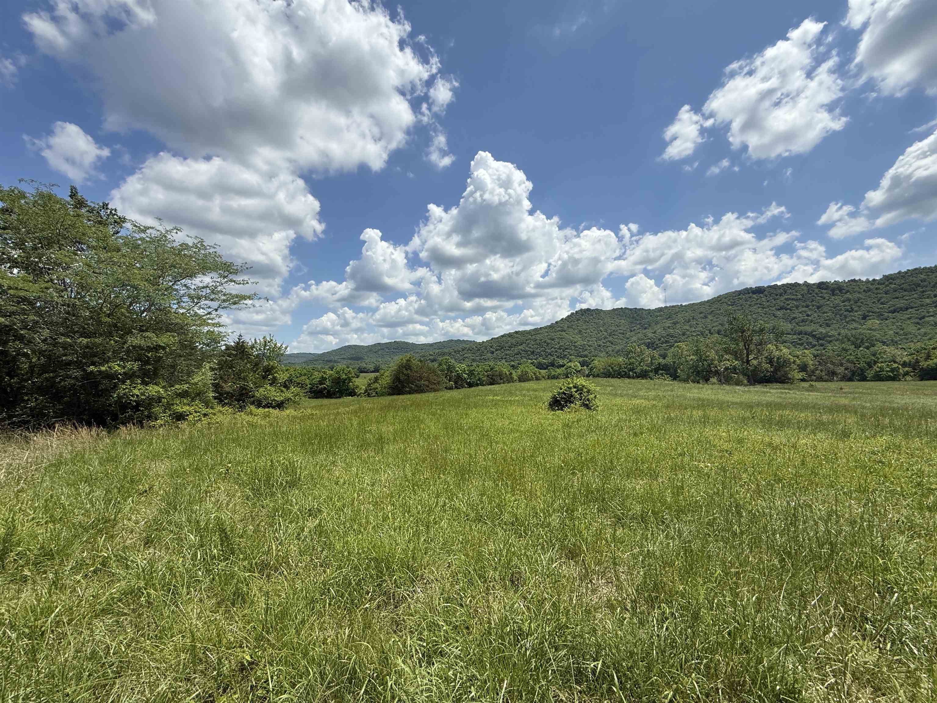 Located just 1.5 miles north of Jo Jo’s Restaurant on Highway 5, this beautiful 24-acre property offers stunning views of the White River Valley and excellent potential for your dream home or getaway. The land features multiple ideal building sites, including one exceptional spot overlooking the valley. With direct frontage on Hwy 5 and an established entrance, access is convenient and easy. A seasonal clear creek—originating from the National Forest across the road—forms the northern boundary of the property, and there's also a nice pond on-site. Whether you're looking to camp, hunt, or build in the future, this acreage is a great investment opportunity in the Mountain View area. The owner will consider dividing the property. Don’t miss out—offered at $169,000.