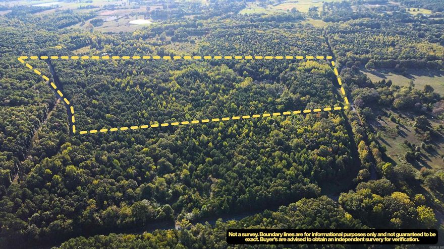 Amazing 51.55 tract made up of two parcels. Ingress/egress from both Shelton Rd. & Mount Zion Rd. This piece features lush stands of timber and a creek running through the property making it perfect habitat for wildlife. Whether you are looking for hunting, homesite, or investment opportunities, this tract is ideal! 4 miles back to town and only 4 miles to Greers Ferry Lake! Huge Potential! Seller also has another tract of 42.22 acres for sale right down the road! Call today before it's gone!