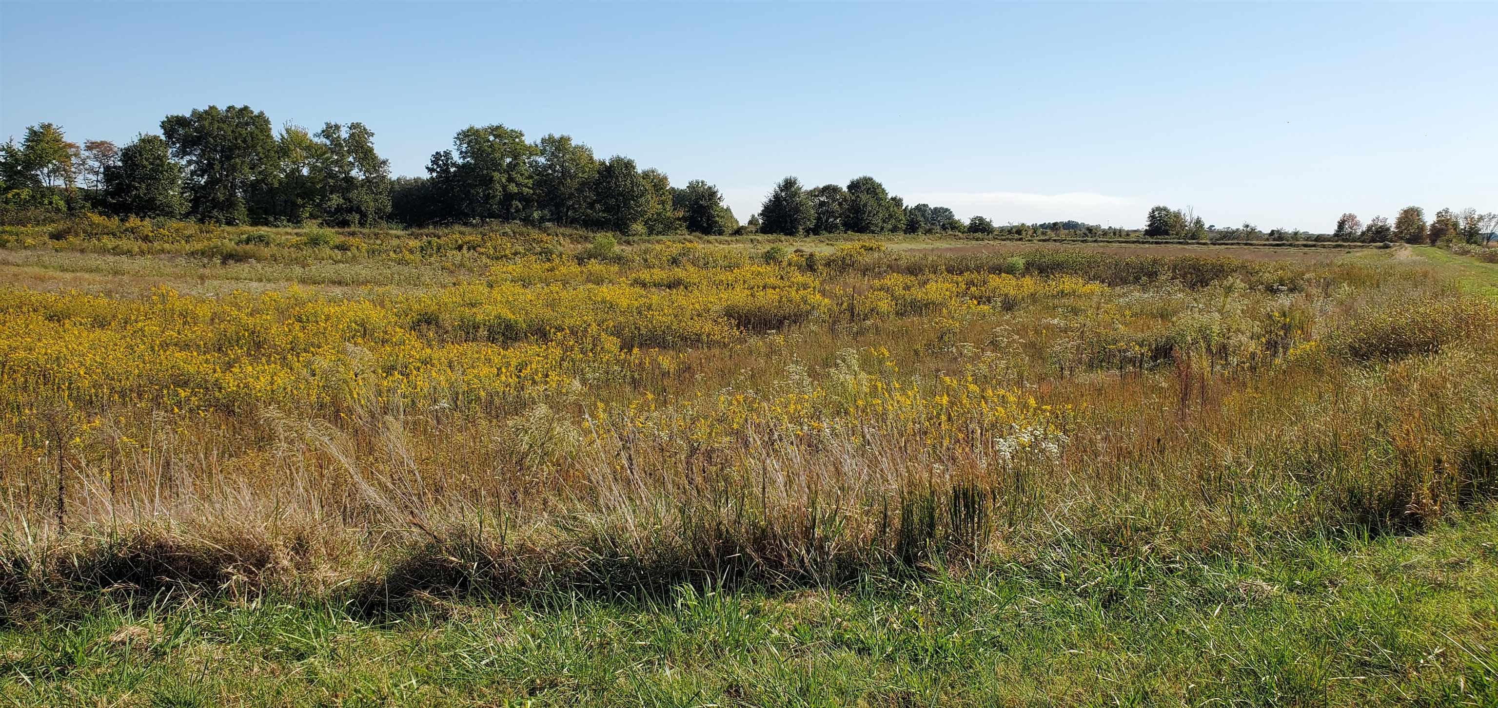 36-7-8 Rural Metes - Farm