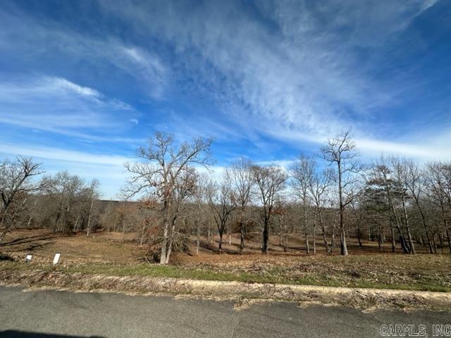 Welcome to your new lot to build your dream home. Located in Phase III of the River Plantation subdivision. Architectural Control Committee and a minimum 1750 sq ft required. Sq. Ft. approx. measuring encouraged. More photos coming soon!