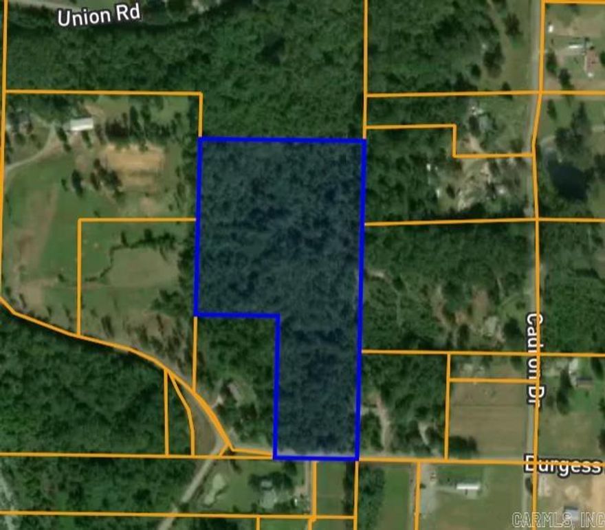 Live the country lifestyle close to Conway on this awesome acreage in the Greenbrier school district. It’s the perfect place for your dream home, but don’t delay—this land won’t be available for long.