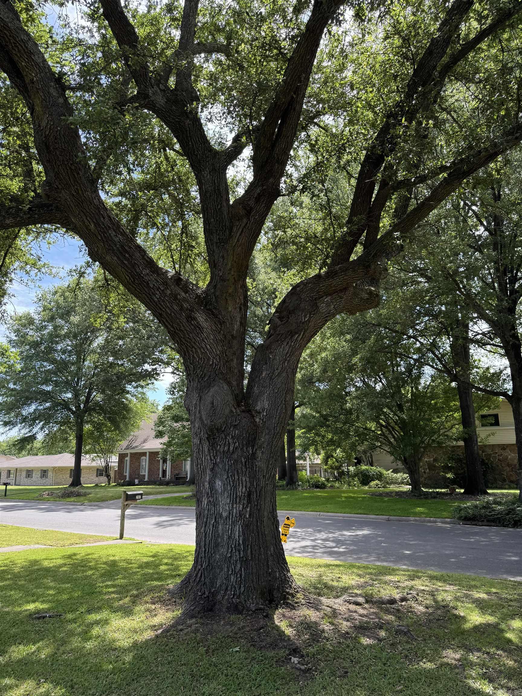 COKER HAMPTON - Residential