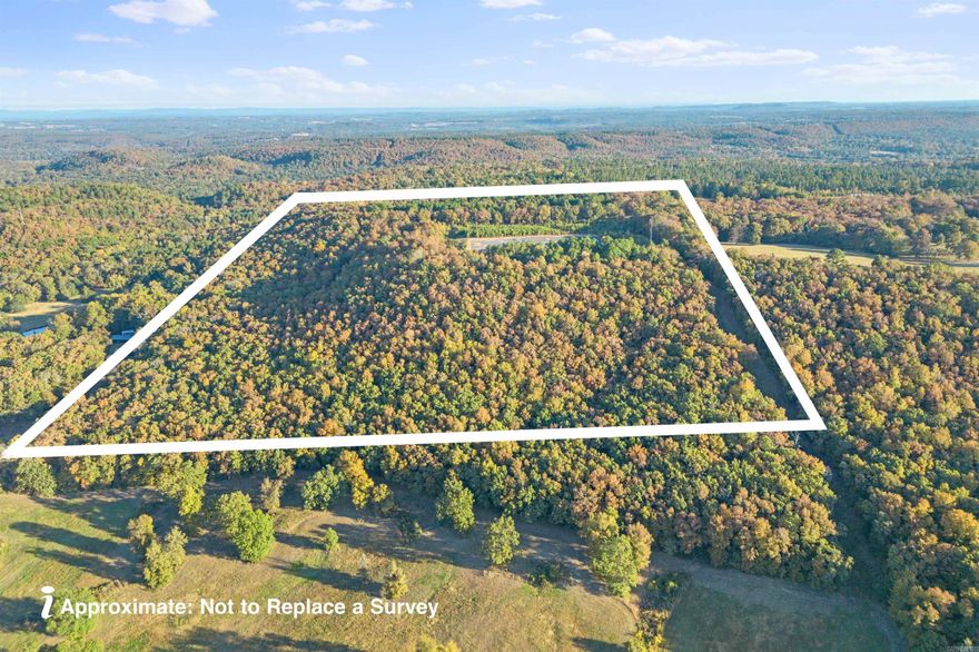 40+/- acres Ragsdale Mountain area!  Mostly wooded with some pines but majority is hardwoods. There are a couple good building sites to the sout and west where you would have a great view! Mineral rights do not convey.