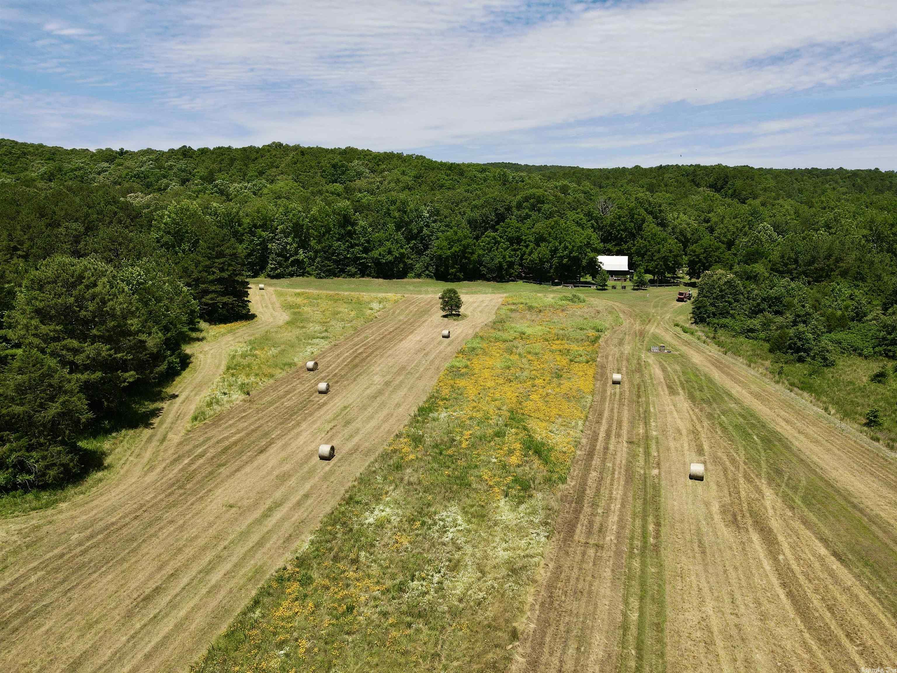 Metes & Bounds - Farm
