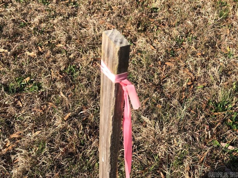 Searcy Outlets - Land