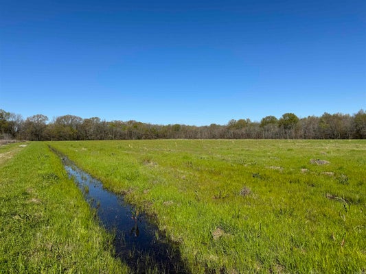 VACANT LAND CATER LANE, MCGEHEE, AR 71654 - Image df8fbcceba8739f9fcf6f4bf4470d108/3223909212