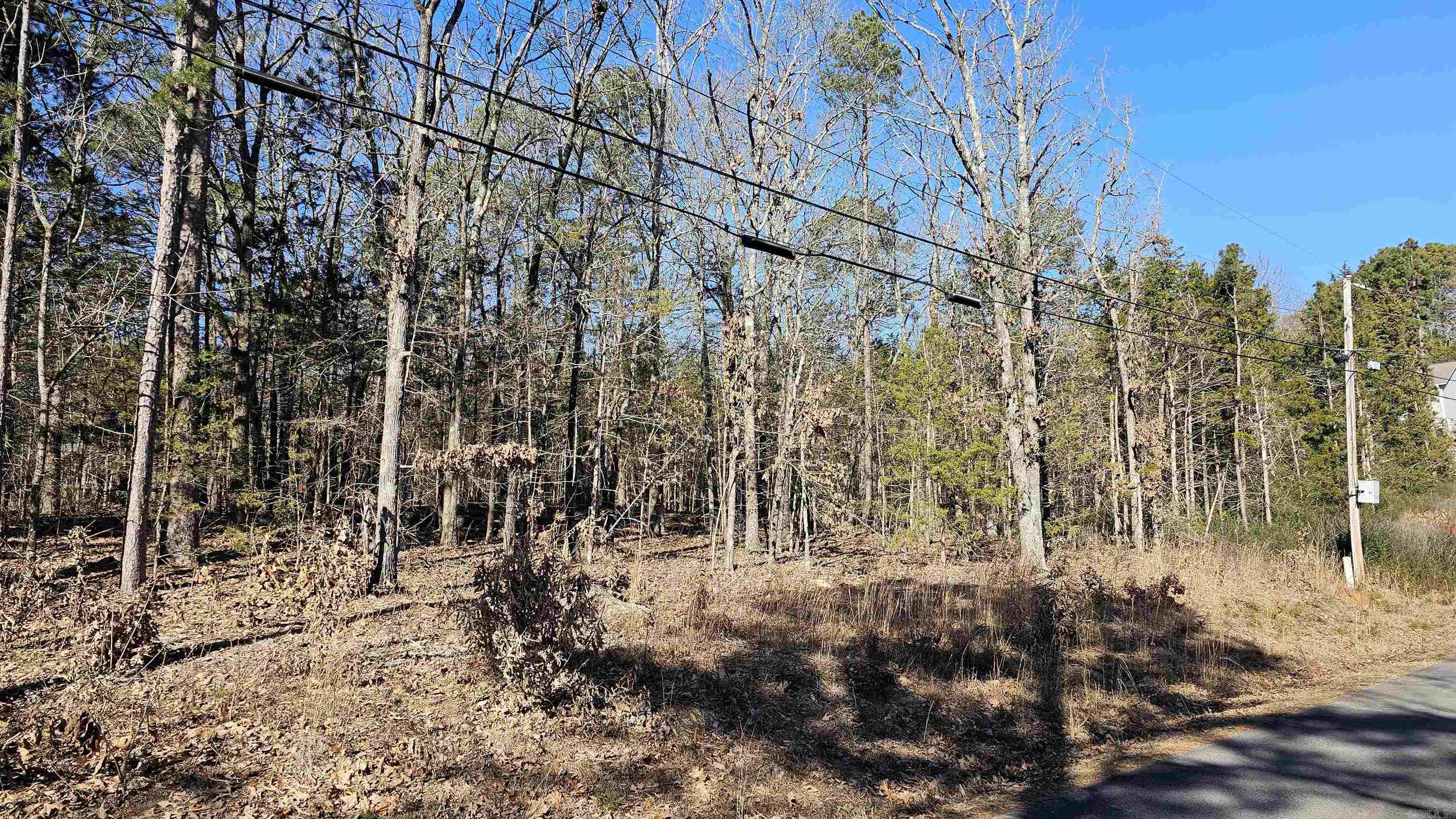 Slaten & Vinson - Land