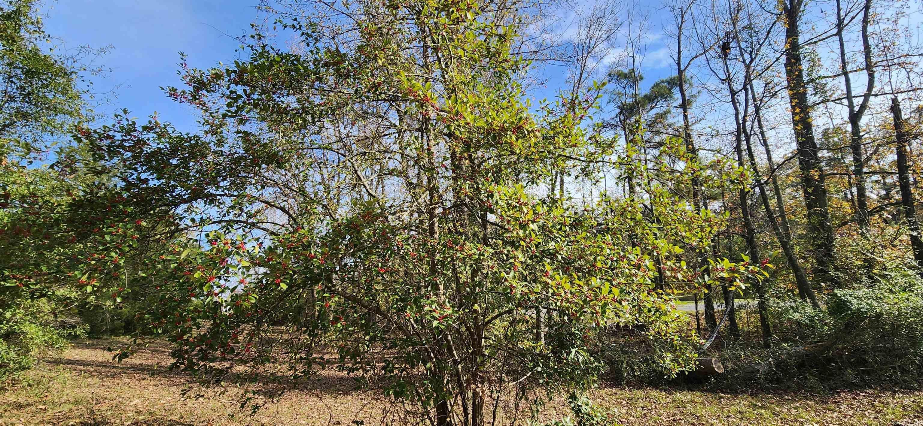 Star City Unplatted - Residential