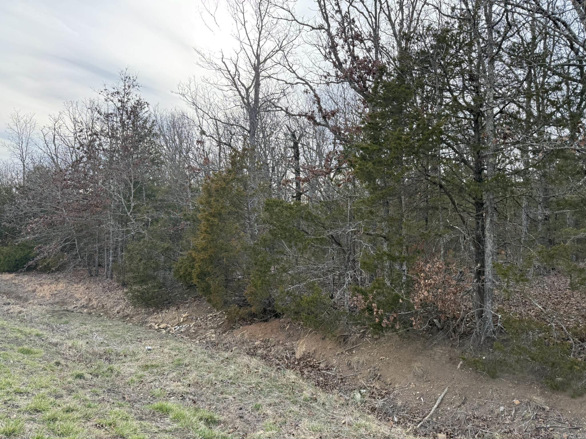 Metes & Bounds - Land