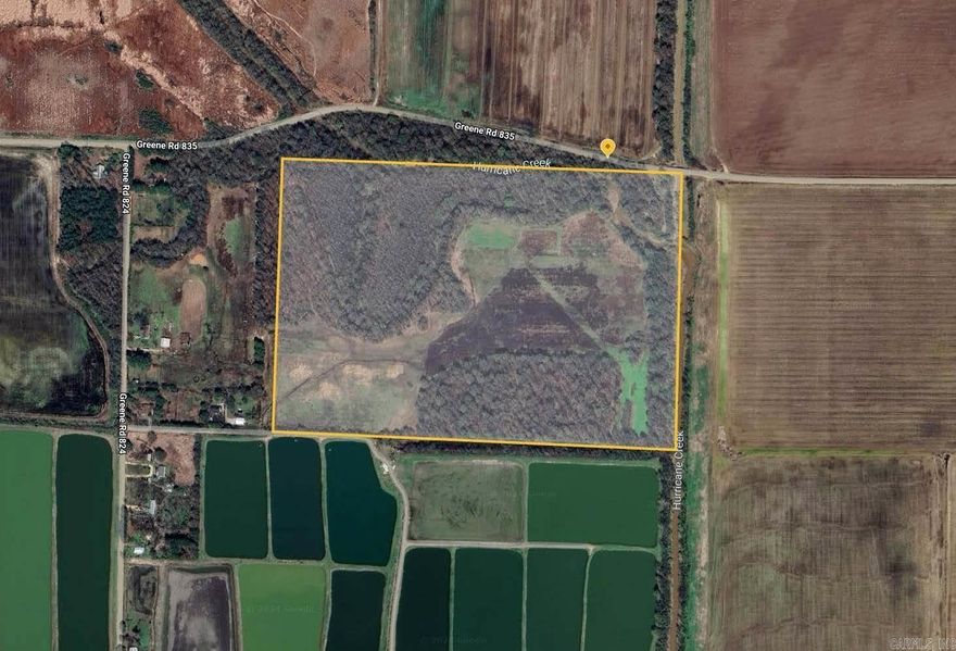Rural Acreage with 36.56 Timber Acreage, some Pasture Acreage, Bordered on the East by Hurricane Creek.