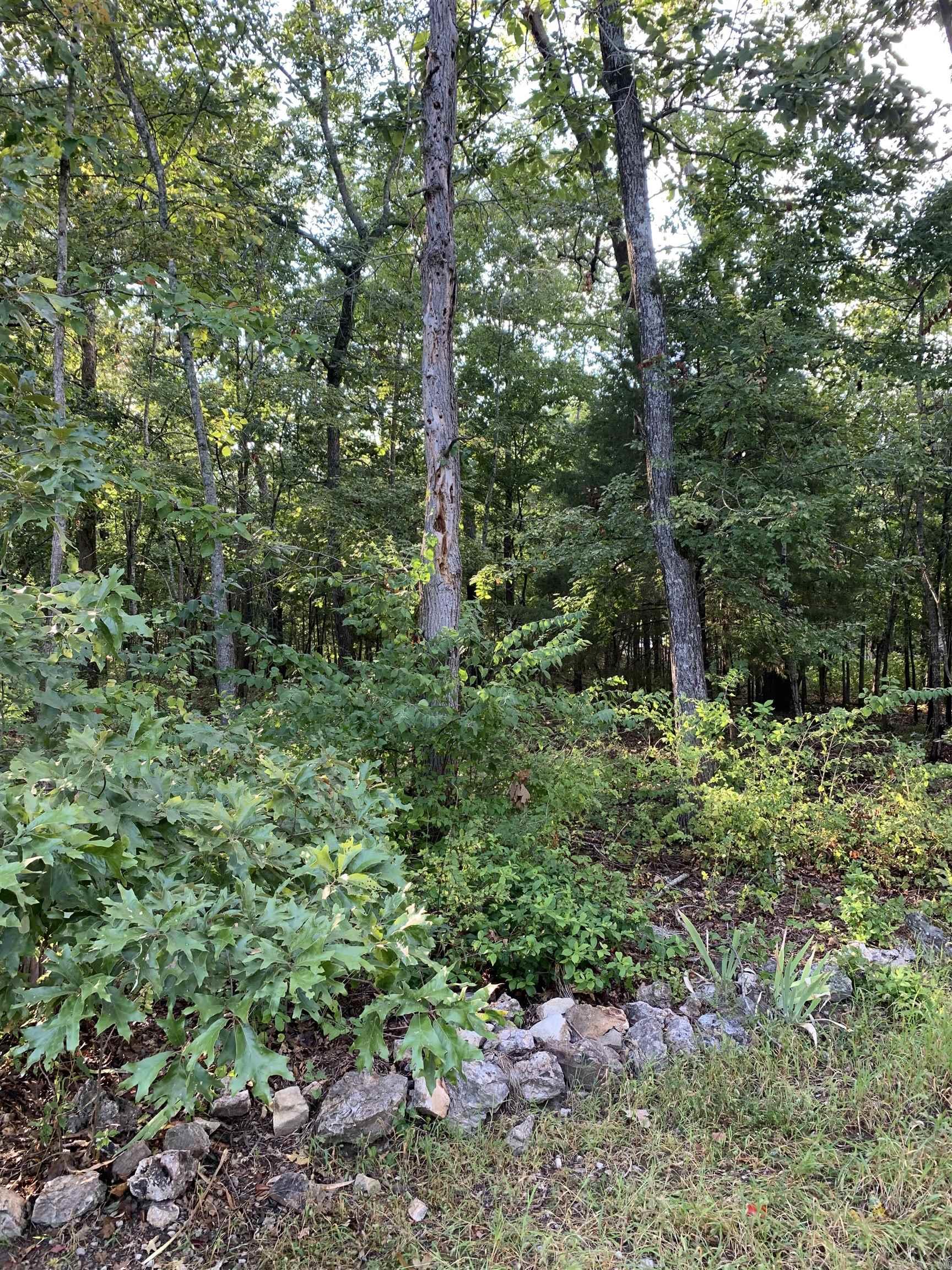 White River Estates - Land