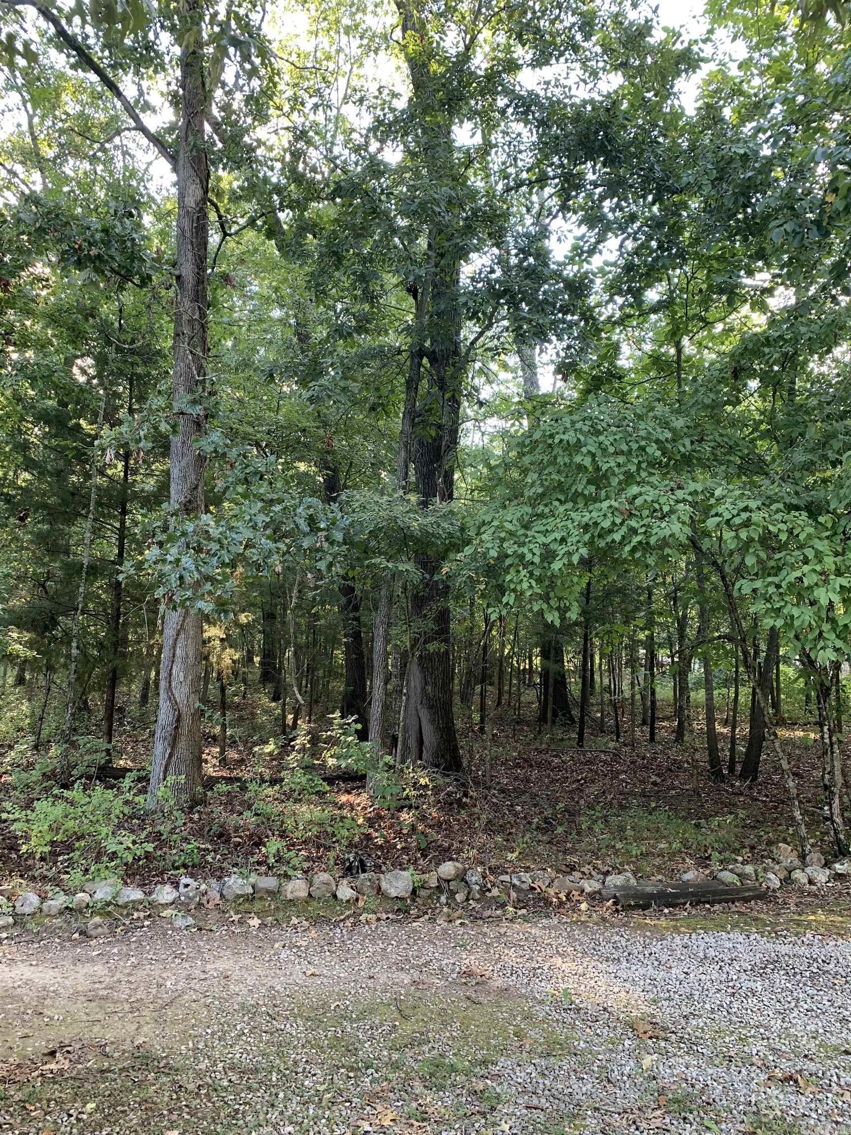 White River Estates - Land