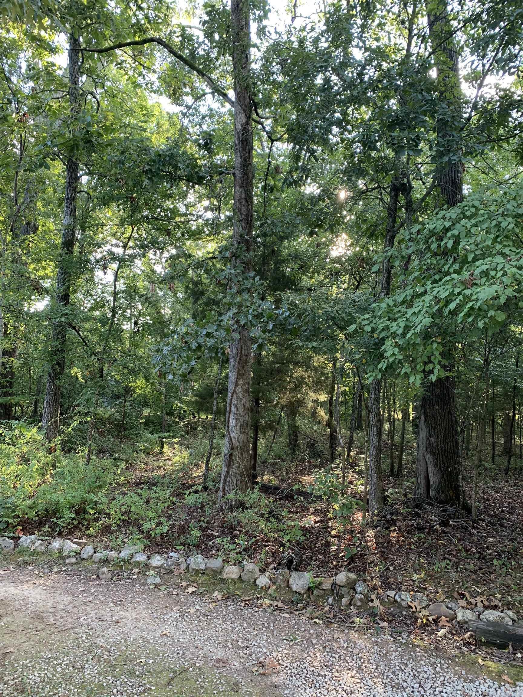 White River Estates - Land