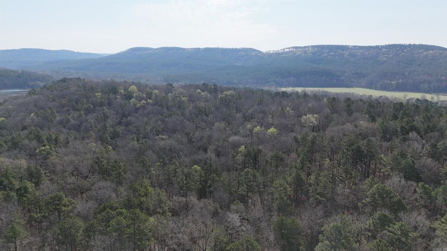 Turn key Hunting property in Conway county 40+/-acre property in Conway County presents a comprehensive offering. Featuring multiple established food plot locations and existing tree stands, it is fully equipped and ready for immediate hunting use. The acreage boasts an excellent blend of mature hardwood and pine timber. Furthermore, two fully stocked ponds with Bass and Crappie provide recreational fishing opportunities. An extensive, well-maintained trail system traverses the entire property, ensuring effortless access to food plots, stand locations, and the efficient retrieval of harvested game.Multiple deer rubs were observed during the property viewing.  The property is situated nearly half a mile off Gray Road, accessed via a private driveway that leads to this secluded hunter's paradise. The perimeter is fully fenced and includes modern utilities such as electricity, fiber optic internet, city water service, and a backup well.  The residence is an approximately 2,400 square foot manufactured home, complete with full-length front and back porches. It offers three bedrooms and two bathrooms; the master bathroom is currently undergoing renovation.