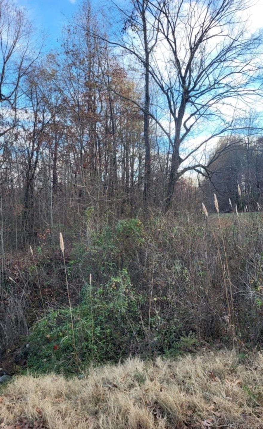 7.00 Acre Homestead Property with Row Crop, Pasture, Woods, Creeks, and Pond  This 7.00acres has all you need, row crop, possible pasture, woods, and a creek.  This is all on the same property close to town property has lots of possibilities. Mostly flat ,this would make a great homestead property it has so much to offer. property does not have utilities but utilities are available. Back has been farmed and could be farmed again with some TLC.  Description: Discover the potential of this expansive 7-acre property, offering a diverse landscape of row crop fields, potential pasture land, wooded areas, and creeks. Conveniently located close to town, this property presents numerous possibilities for agricultural use or as an ideal homestead. Enjoy mostly flat terrain, providing a picturesque setting for your dream estate. Although utilities are not currently installed, they are available for easy connection. The back acres have previously been farmed and could be revitalized with some tender loving care (TLC). Don't miss out on this opportunity to own a versatile property with endless opportunities