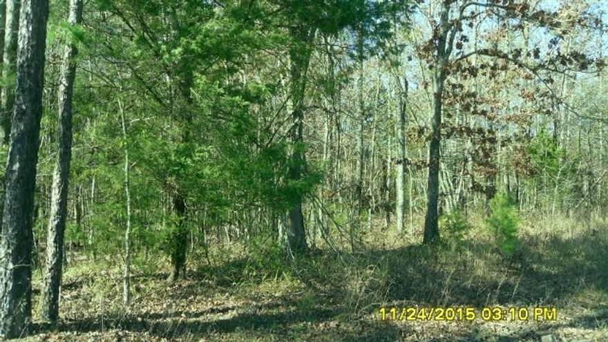 Wooded acreage not far from the city limits of Mena.  Beautiful home site, wet weather creek, water and electricity are at the road.