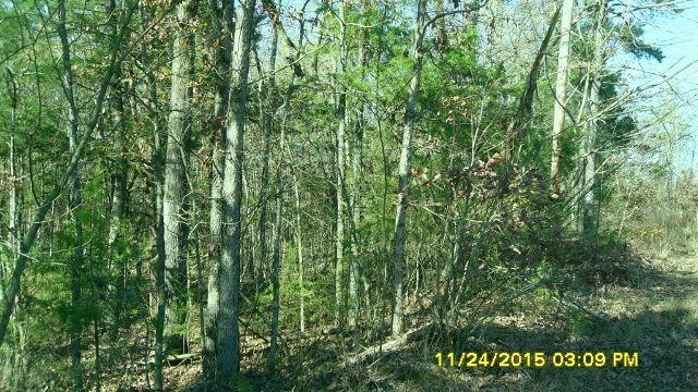 Metes & Bounds - Land