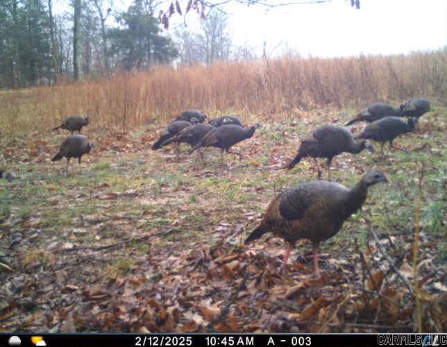 Metes & Bounds - Land