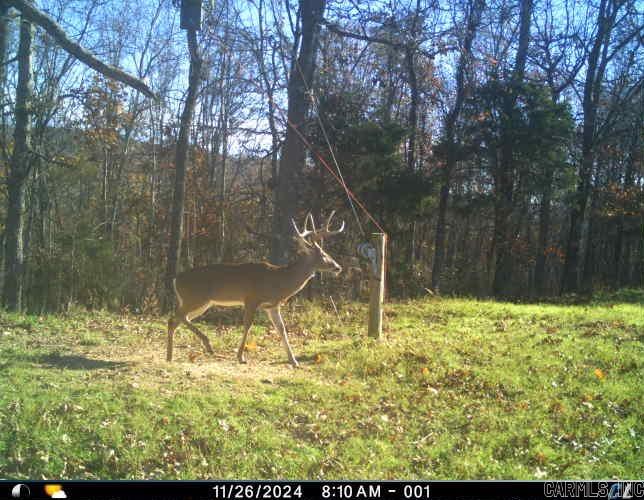 Metes & Bounds - Land