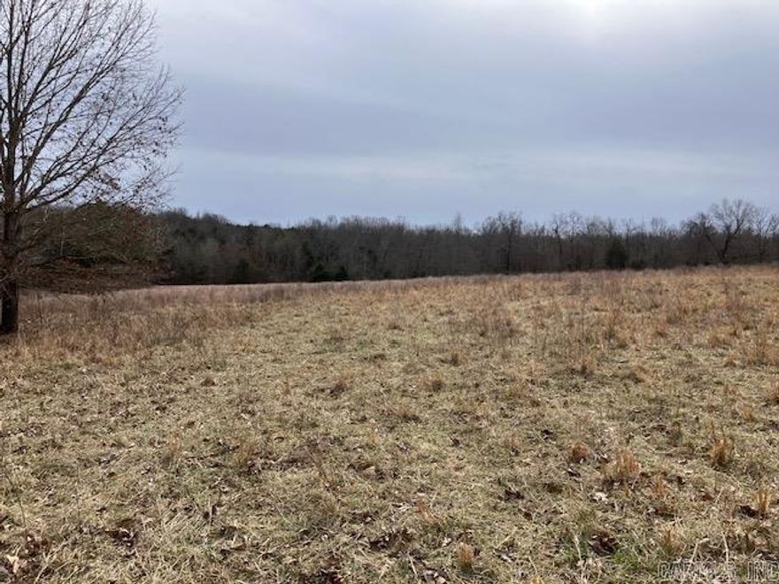 Log home on 40 acres! This gently rolling, 40 acres is mostly pasture, has a large pond in the middle, is fenced and has a quarter mile of county road frontage. In addition there is a log home on the property that would need significant repairs to be livable. Electric and well are already on site so regardless if you wanted to build new or remodel, you would immediately have access to utilities. There is also a barn/outbuilding behind the home.