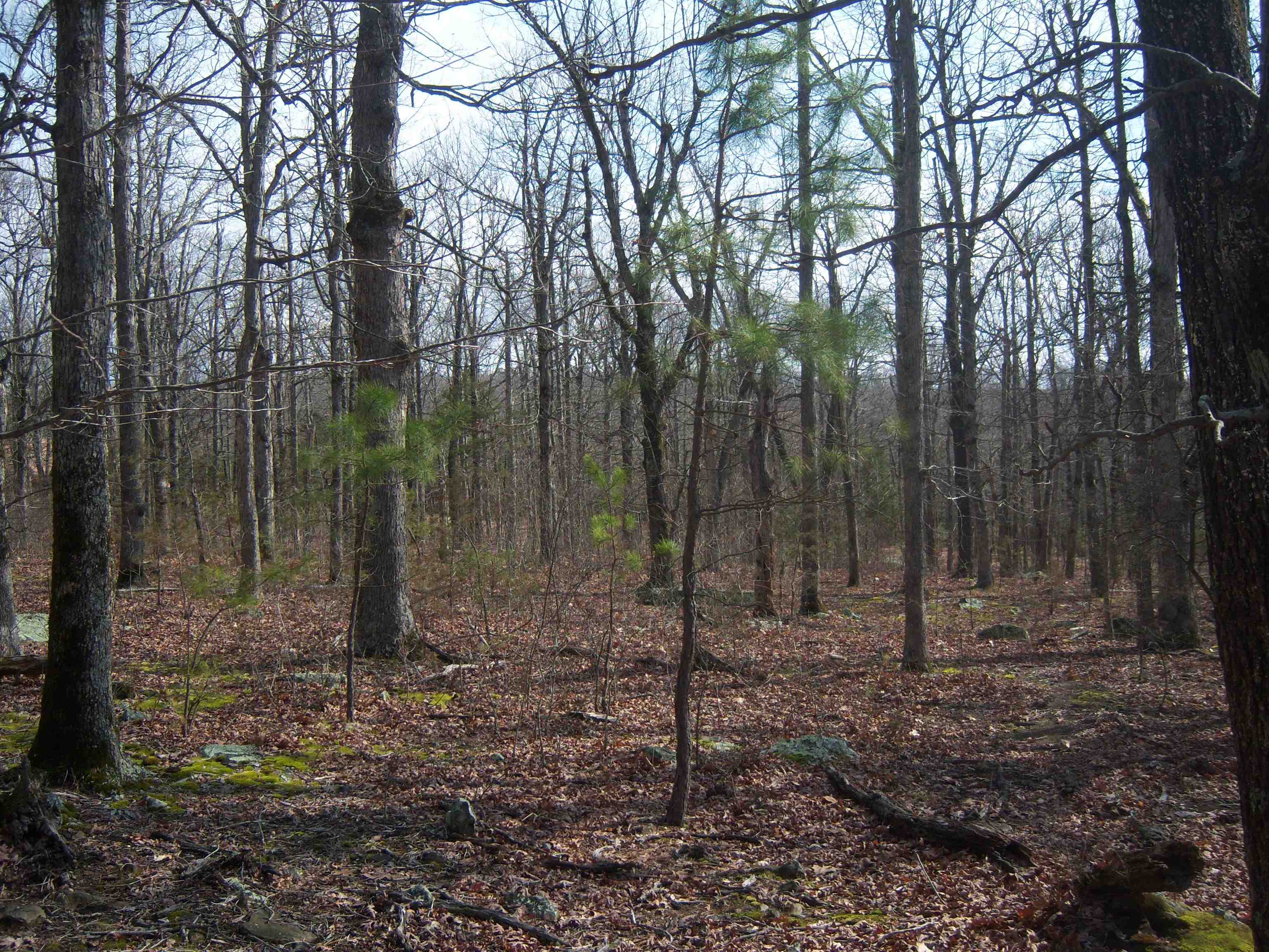 Metes & Bounds - Land