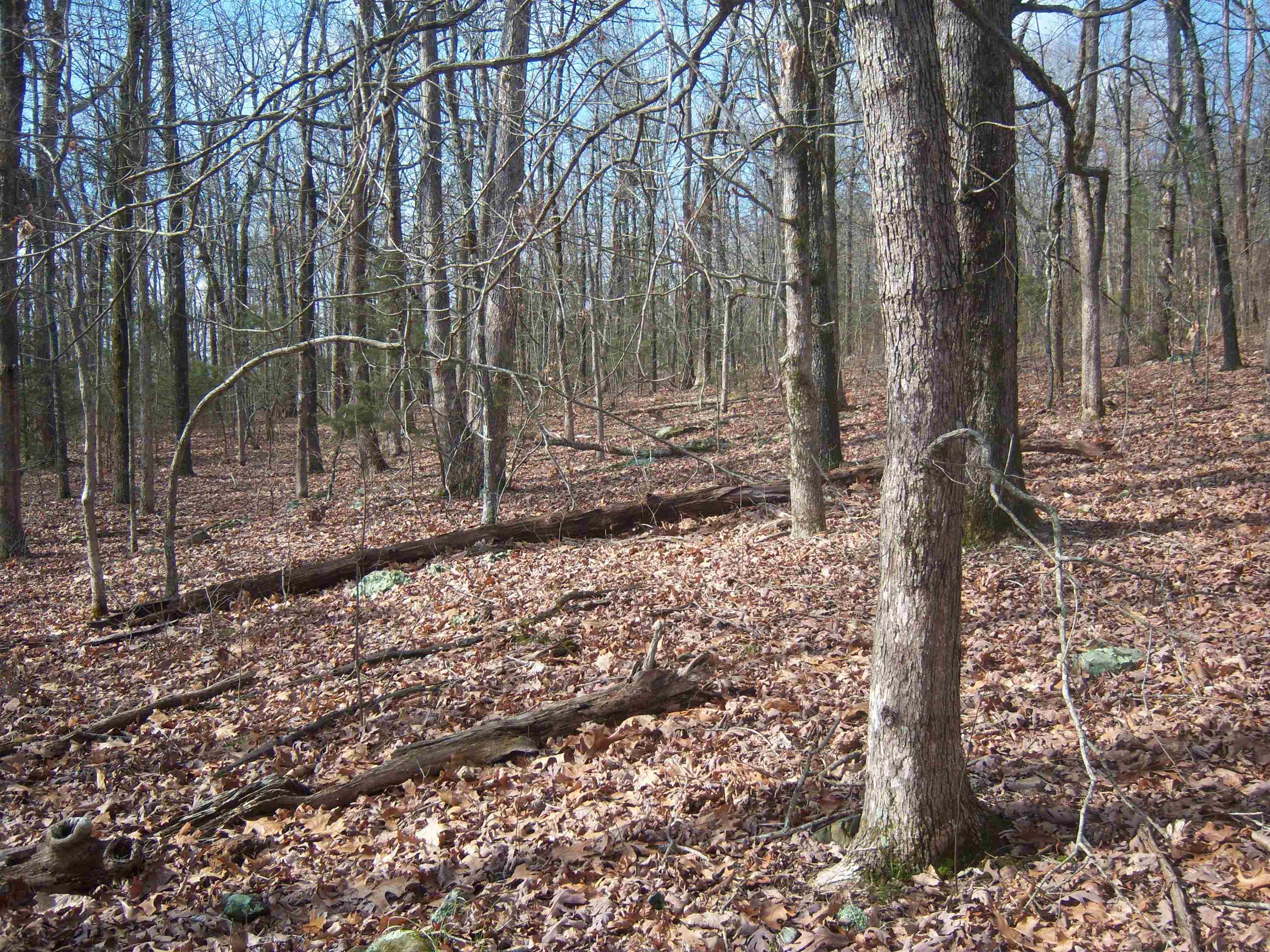 Metes & Bounds - Land