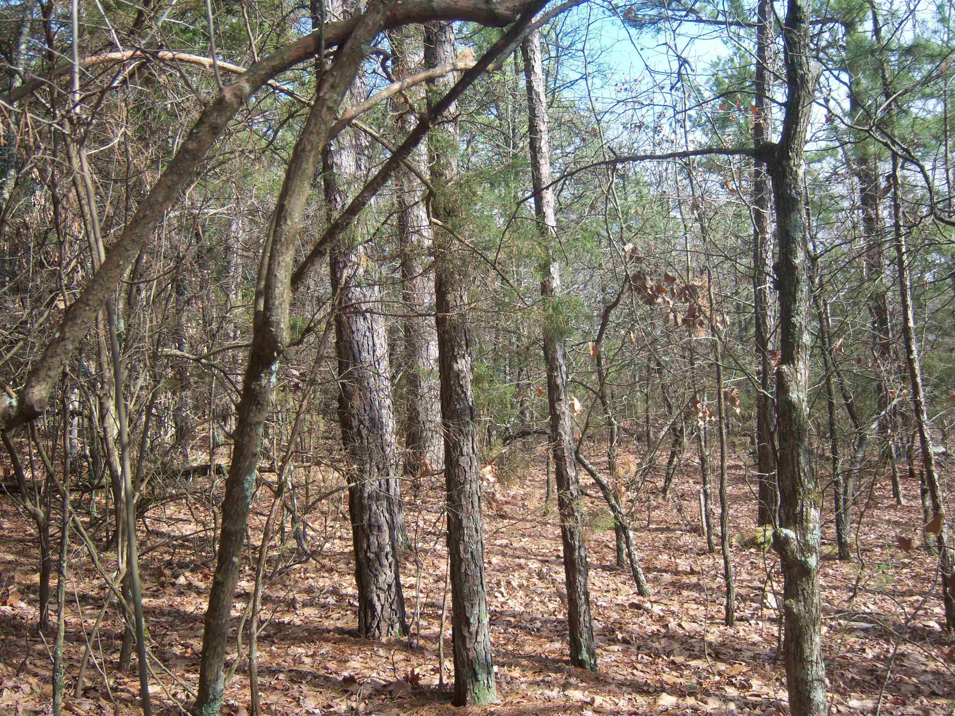 Metes & Bounds - Land