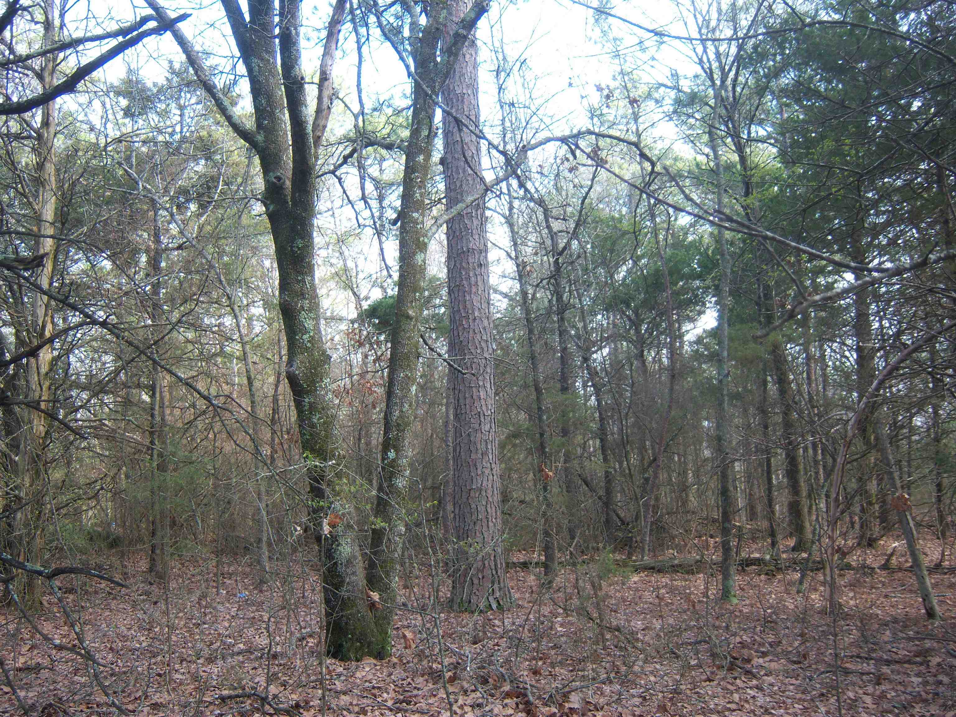 Metes & Bounds - Land