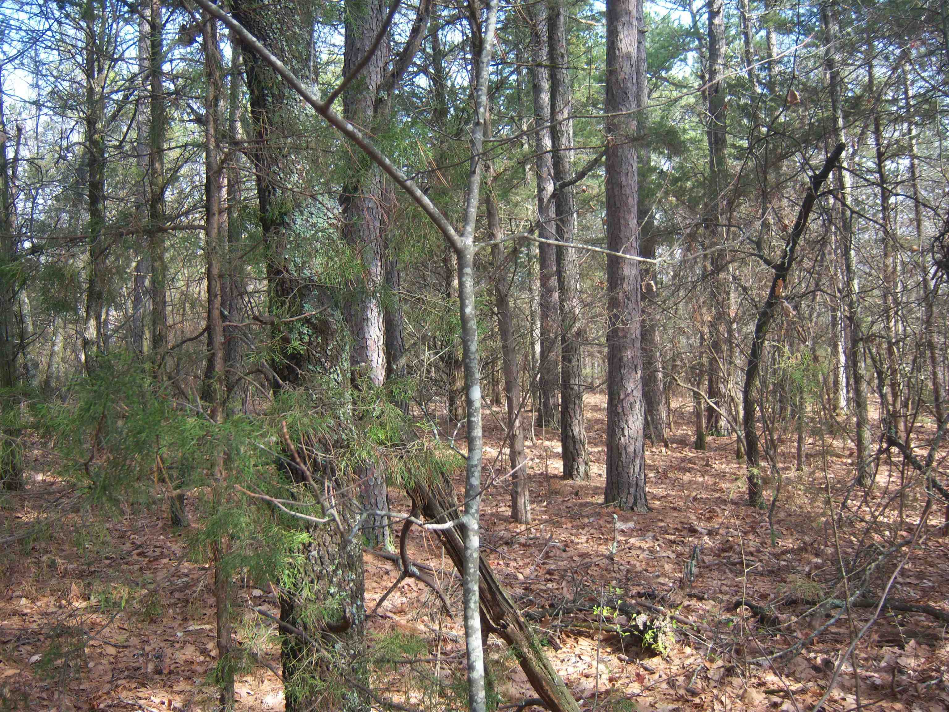 Metes & Bounds - Land