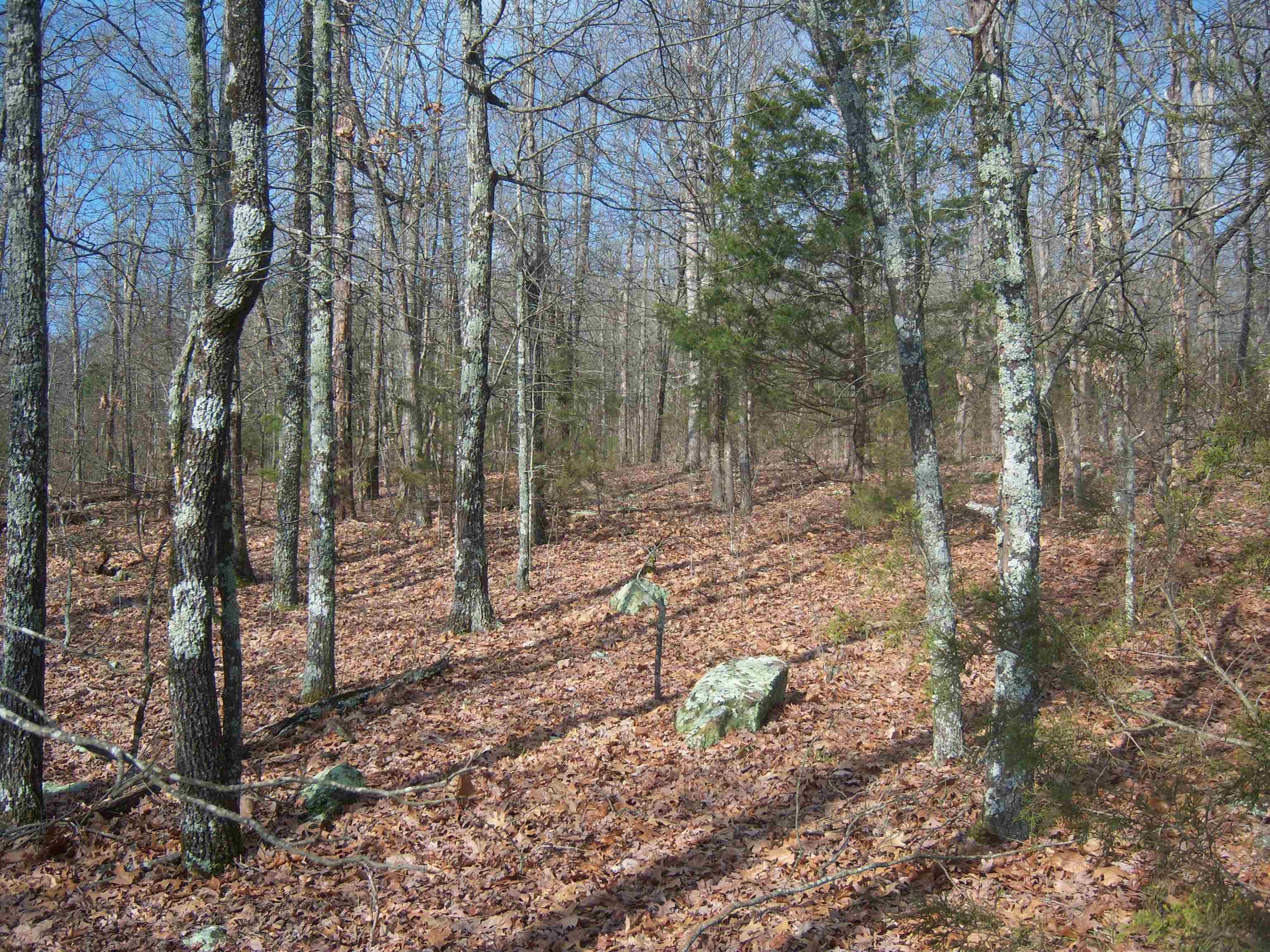 Metes & Bounds - Land