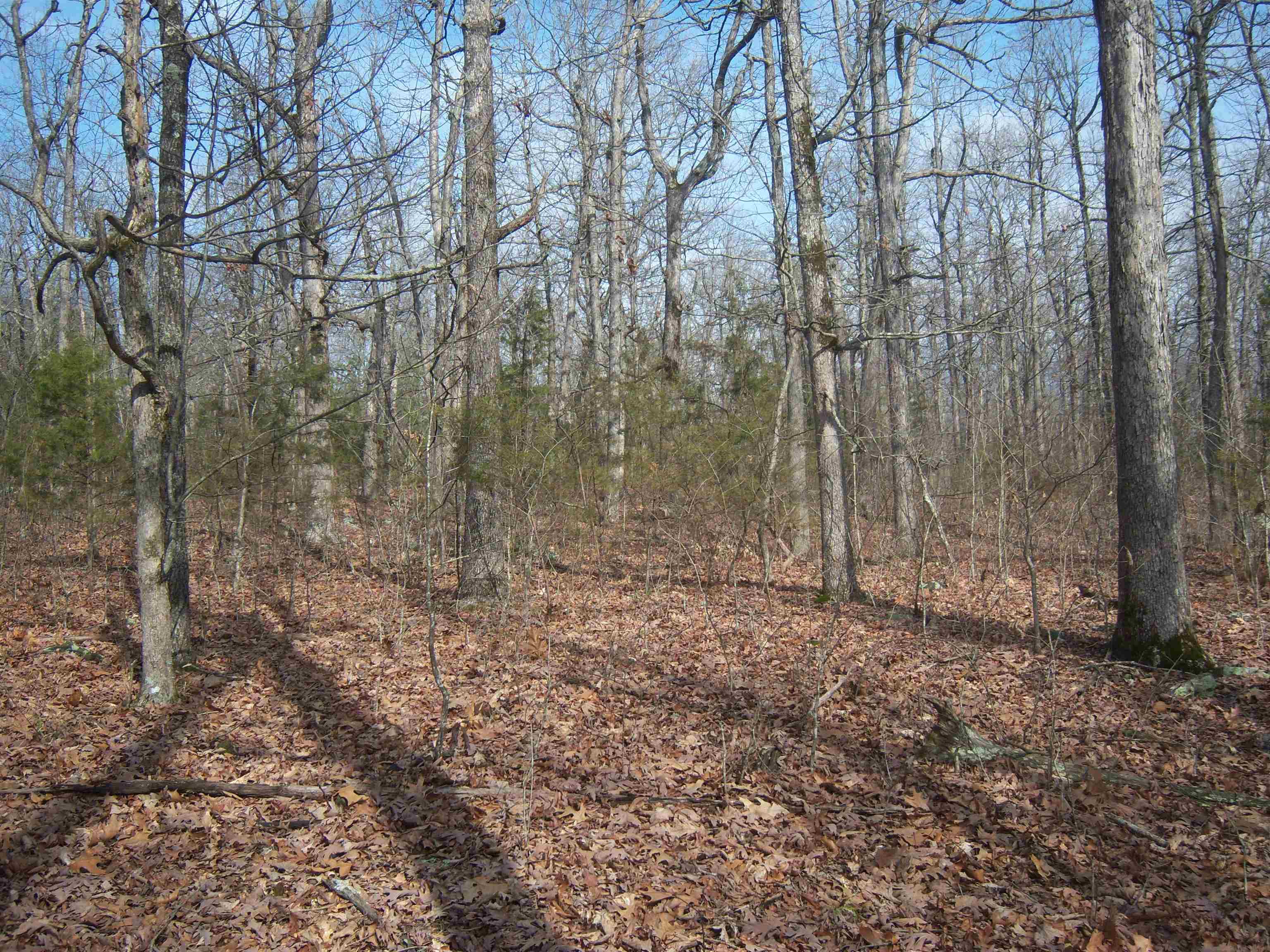 Metes & Bounds - Land