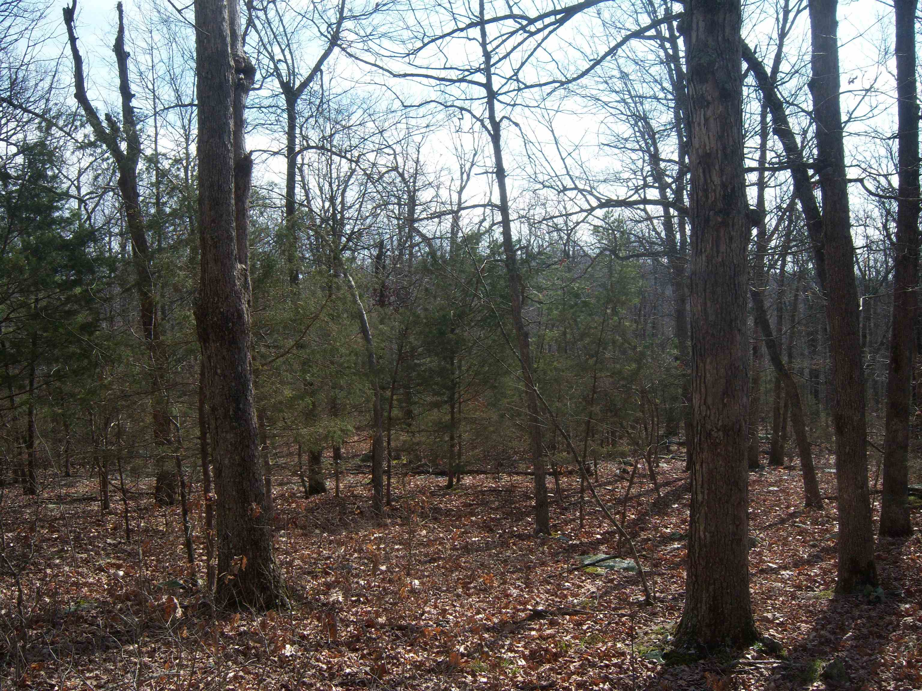 Metes & Bounds - Land