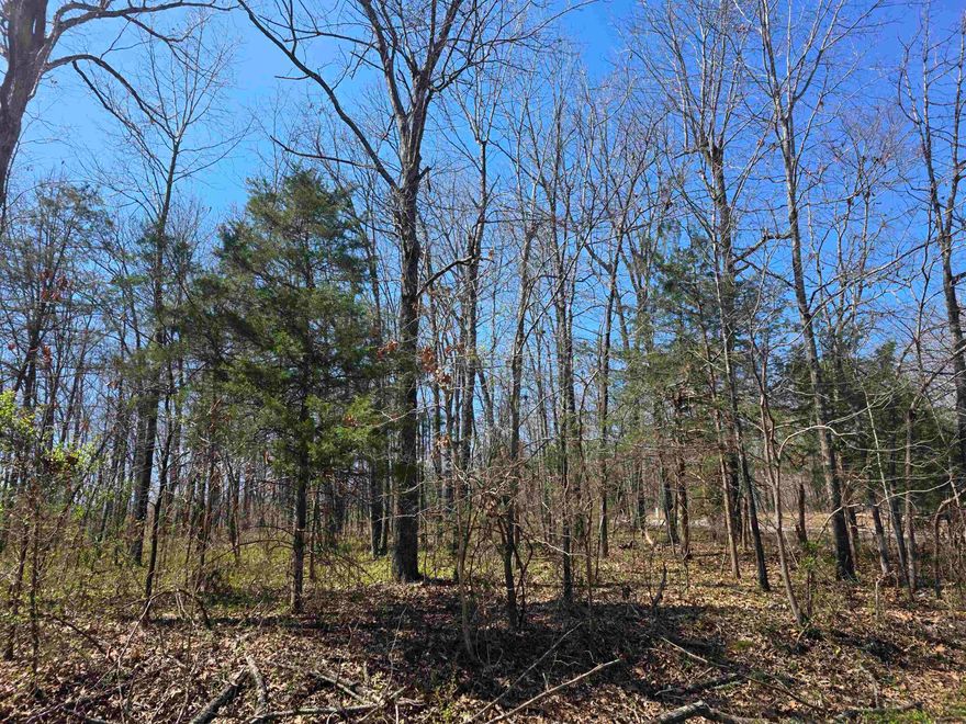 Beautiful corner lot in Ozark Acres. On the Corner of Frontier Dr and W. Lakeshore Drive. One street away from the Spring Lake boat launch and picnic area. This is a wooded lot with power and water available at the street. Several nice oak trees on the property. Frontier Drive is one of the main Rds in the Acres. There are 2 Lakes in Ozark Acres and lots of nature to see. Not far from Ole Hardy Town for shopping and dining or just sight-seeing. Spring River is not far away to enjoy some good trout fishing. Come take a look and pick your spot to build your get away cabin or your forever home.