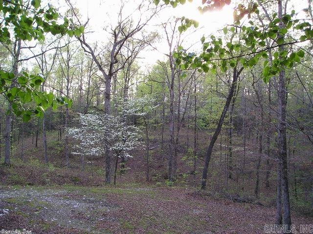 Dogwood Plantation - Residential