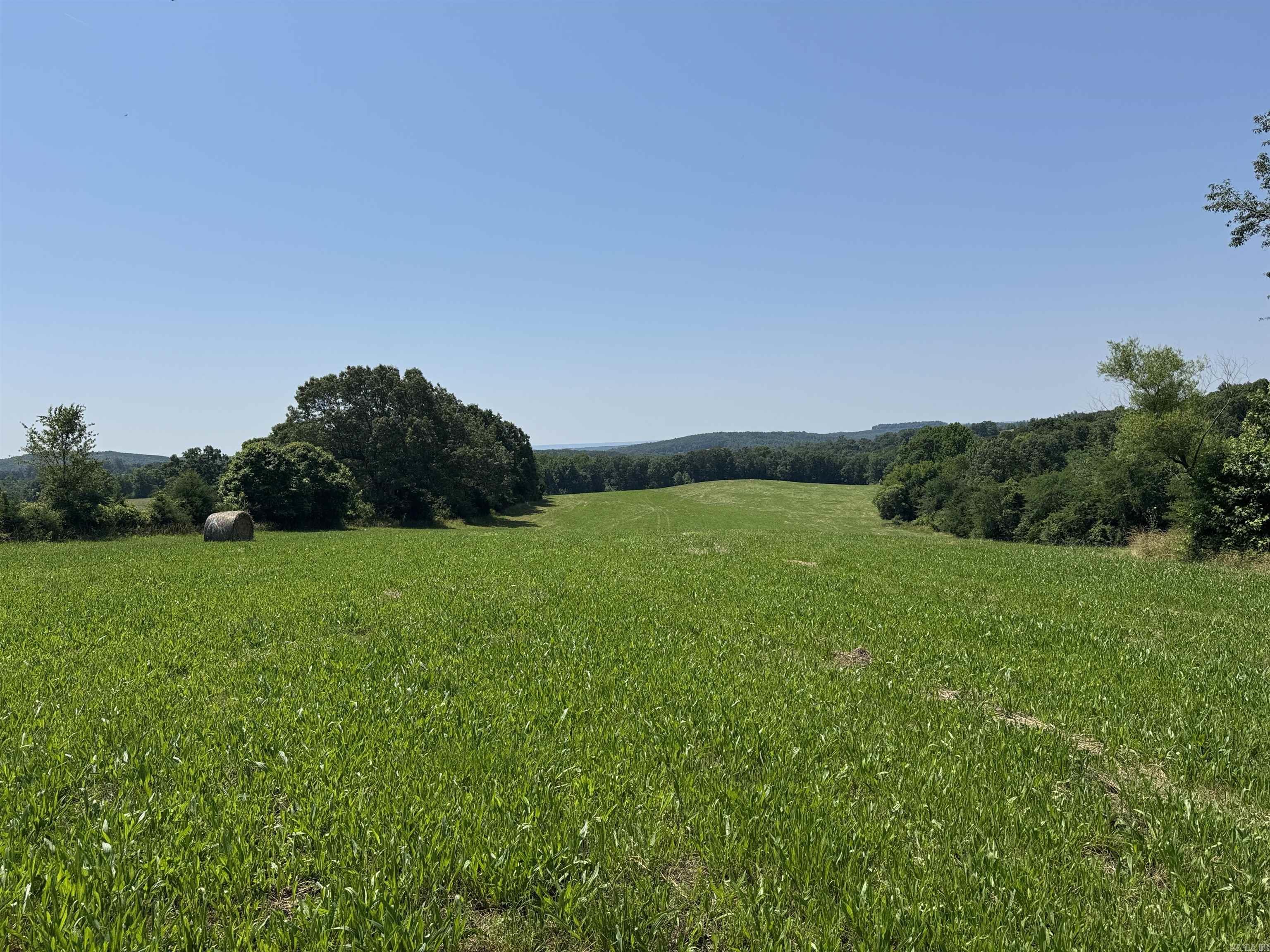 Great piece of property in the country. This pasture land has many options. Build your dream home, keep livestock, or just have fun riding side by sides and 4 Wheelers. The property is fenced with a pond, a creek and 40 x 70 hay barn. Property produces around 200 round bales of hay per year. You don't want to miss out on this opportunity, so give us a call today. Taxes to be determined. Acreage to be determined.