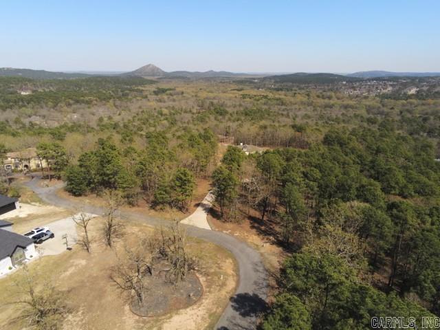 Maxines Replat of Mills Mountain - Land