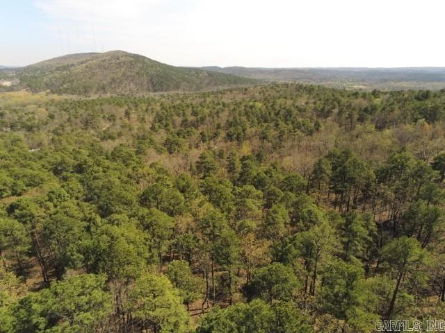 Maxines Replat of Mills Mountain - Land
