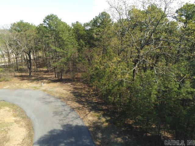 Maxines Replat of Mills Mountain - Land