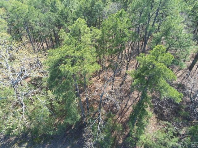 Maxines Replat of Mills Mountain - Land
