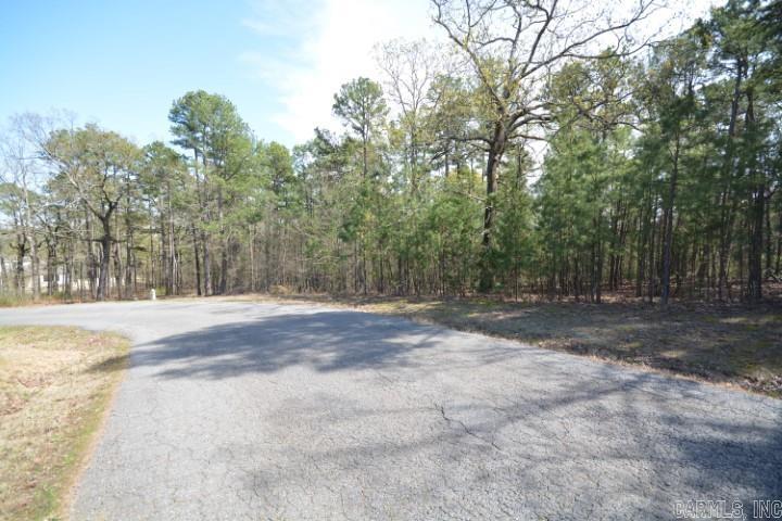 Maxines Replat of Mills Mountain - Land